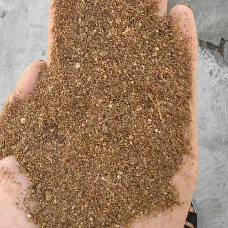 玉米酒糟DDGS大量有货量大可电话议价