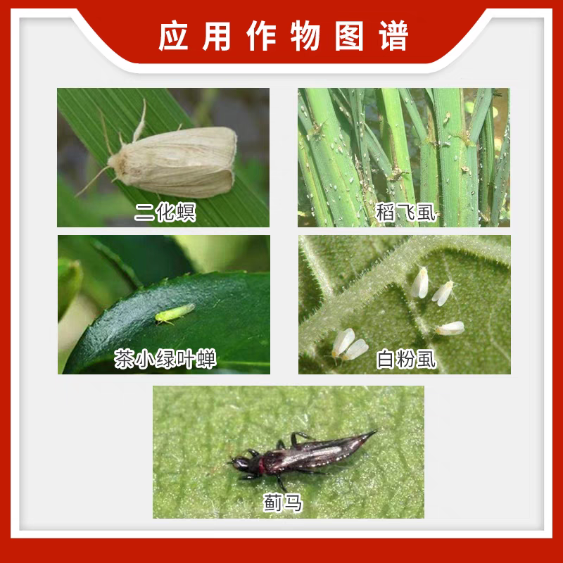 惠光武士20%呋虫胺蓟马稻飞虱茶小绿叶蝉白粉虱二化螟农药
