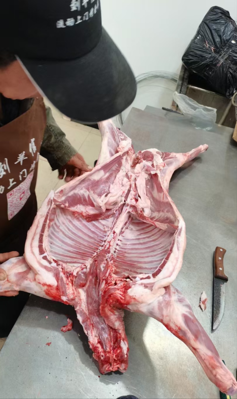 羊肉羊白条羊酮体羊腔子烤全羊白条羊厂家批发