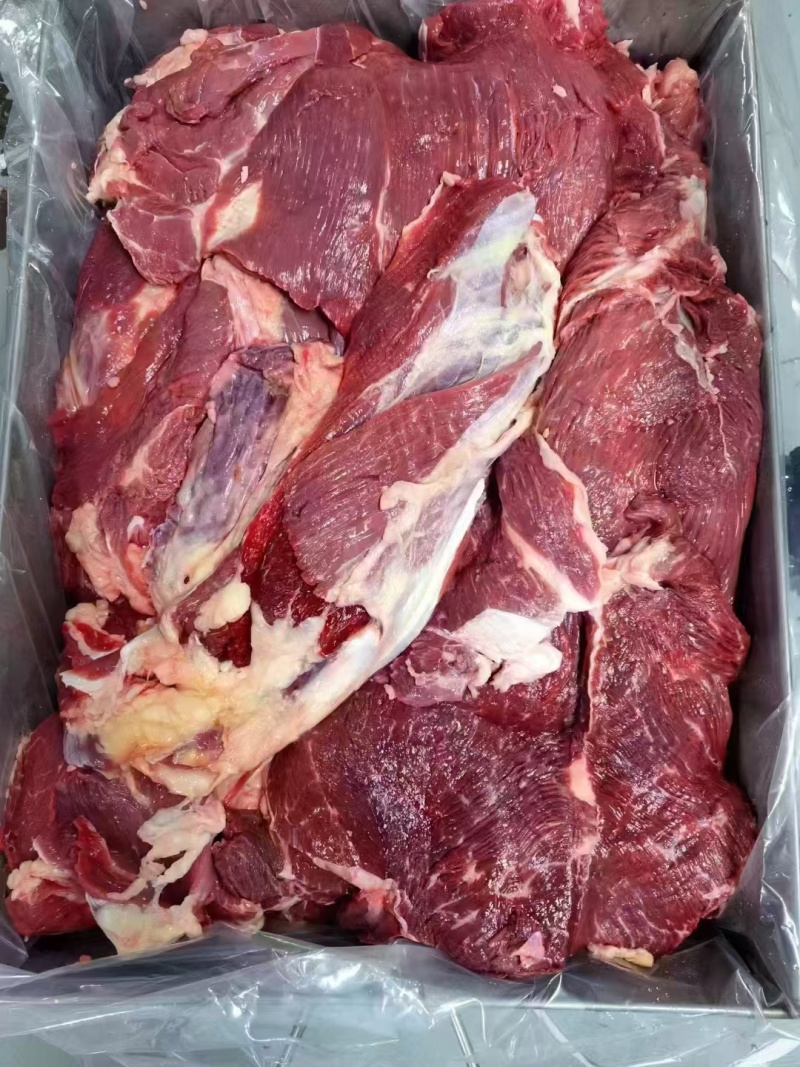 牛肉国产四分体冻牛肉，纯干不打水，精修去油厂家直销