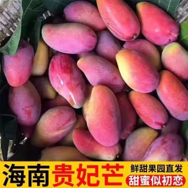 海南芒果贵妃芒，全国发货，品质保证，可对接电商商超等
