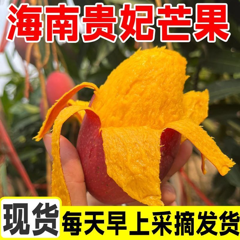 海南芒果贵妃芒，全国发货，品质保证，可对接电商商超等