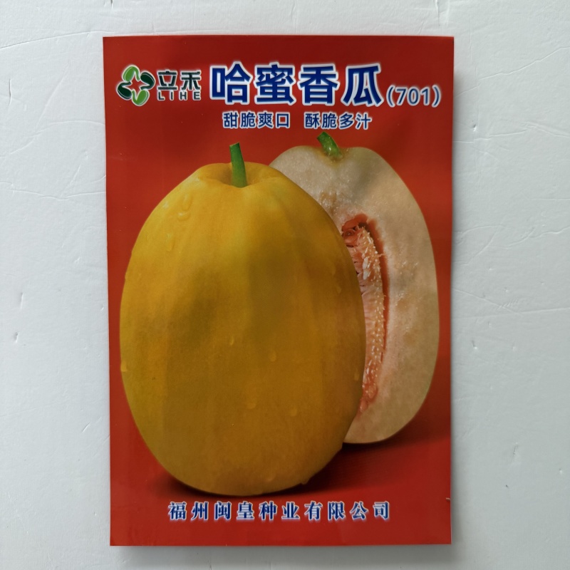 哈蜜香瓜种子果实椭圆形皮淡黄色果肉桔红色味香甜果