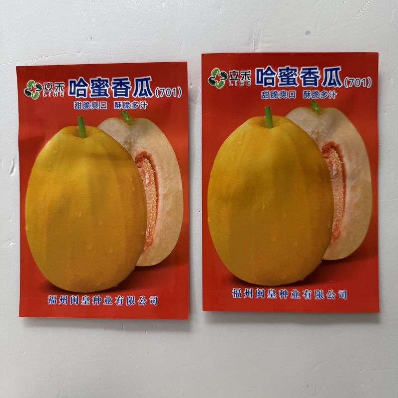 哈蜜香瓜种子果实椭圆形皮淡黄色果肉桔红色味香甜果