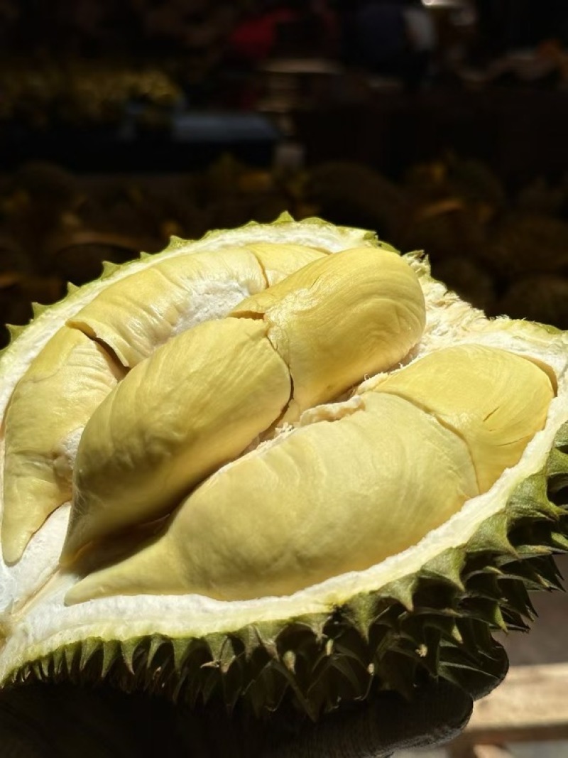 顺丰包邮泰国金枕榴莲一件代发对接各大电商平台