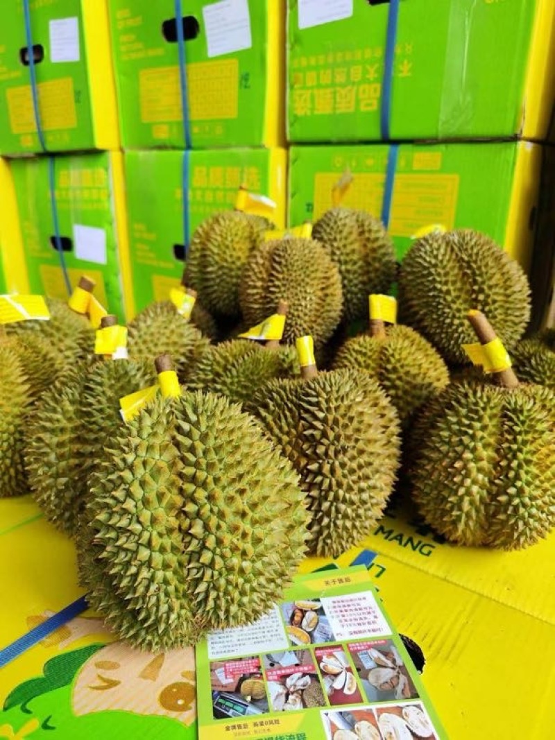 顺丰包邮泰国金枕榴莲一件代发对接各大电商平台
