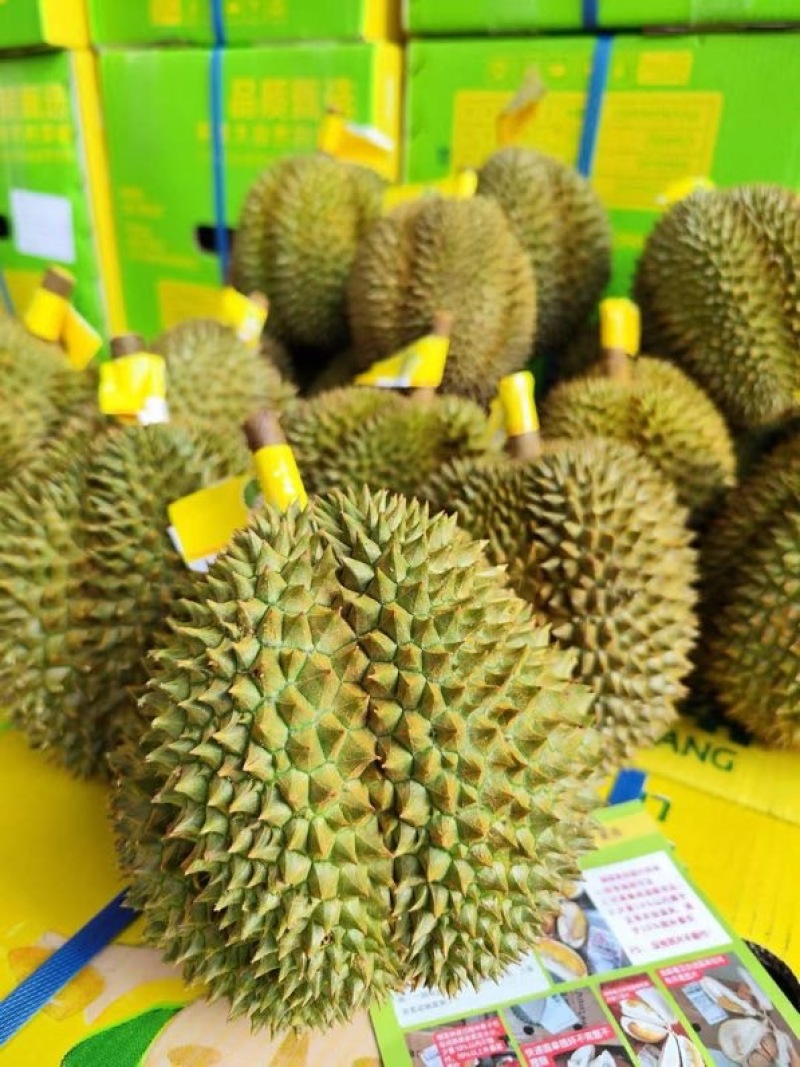 顺丰包邮泰国金枕榴莲一件代发对接各大电商平台