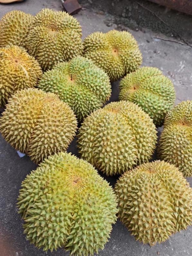顺丰包邮泰国金枕榴莲一件代发对接各大电商平台