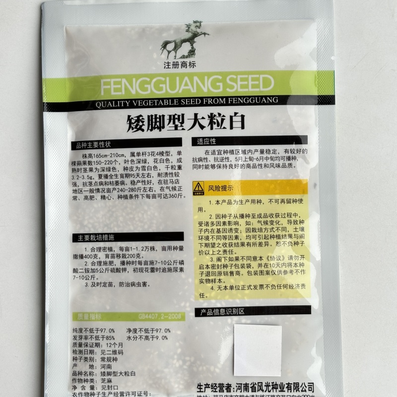 矮脚型大粒白芝麻种子优质高产抗病抗逆商品性佳