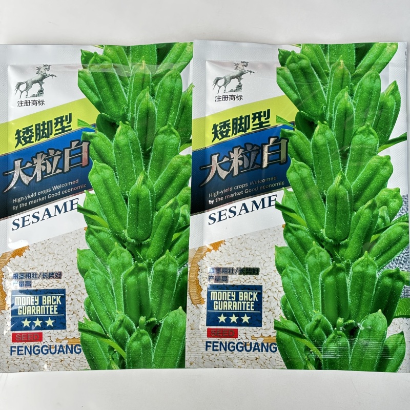 矮脚型大粒白芝麻种子优质高产抗病抗逆商品性佳