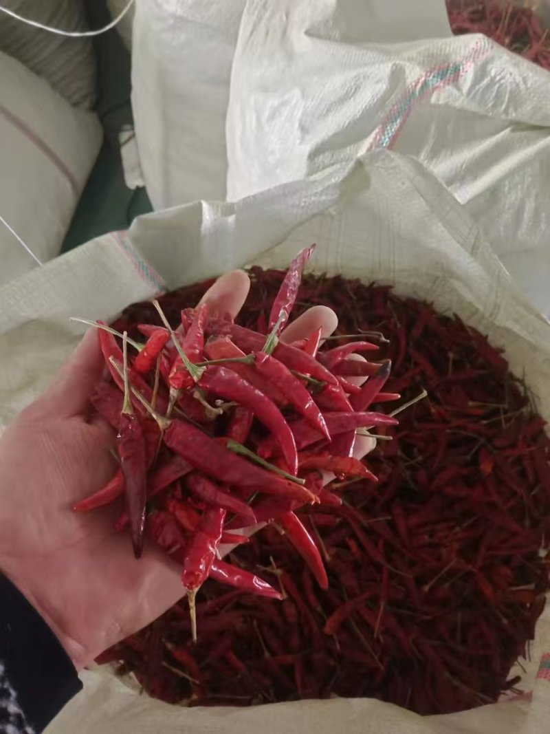 北京干辣椒精品普货皆有欢迎北京各大加工厂采购
