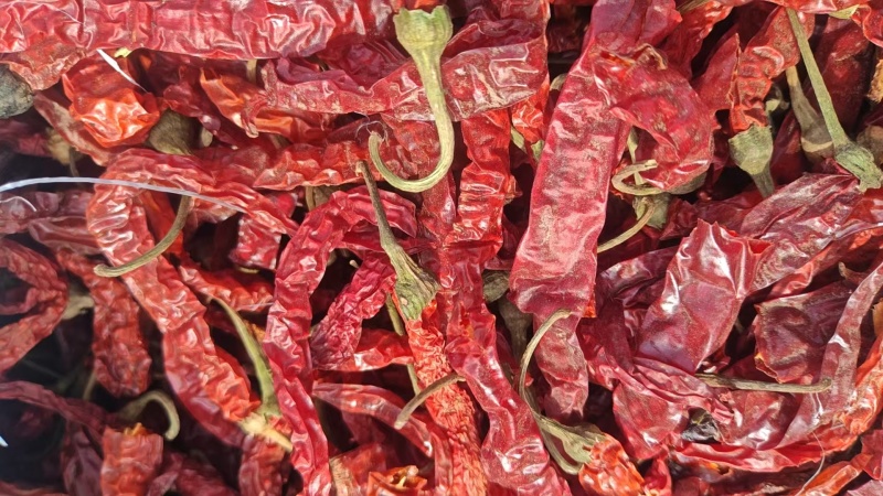 北京干辣椒精品普货皆有欢迎北京各大加工厂采购