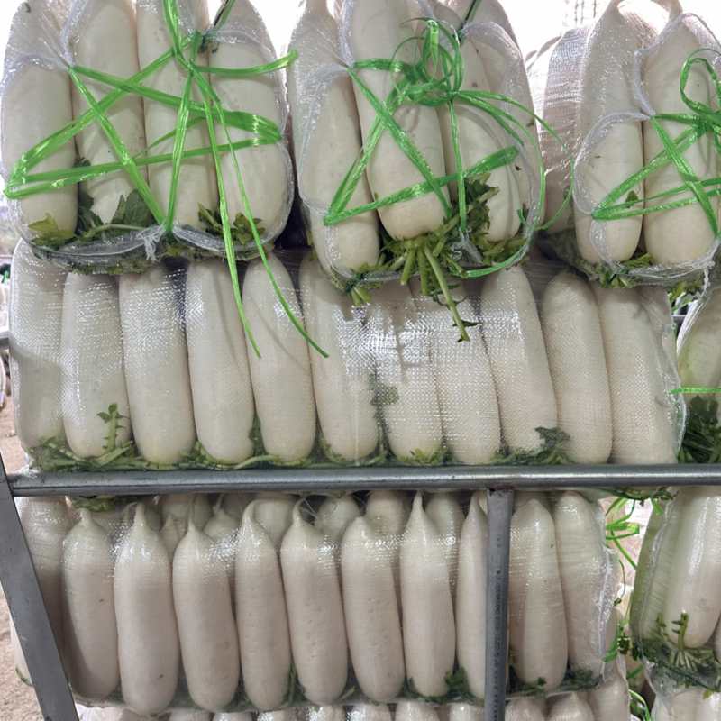 精品白萝卜散装袋装均可支持