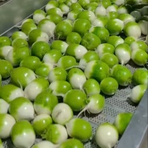 水果萝卜宝玉