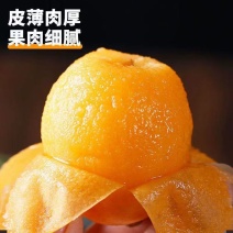 【产地直供现摘现发一手货源】长虹、解放中、五星