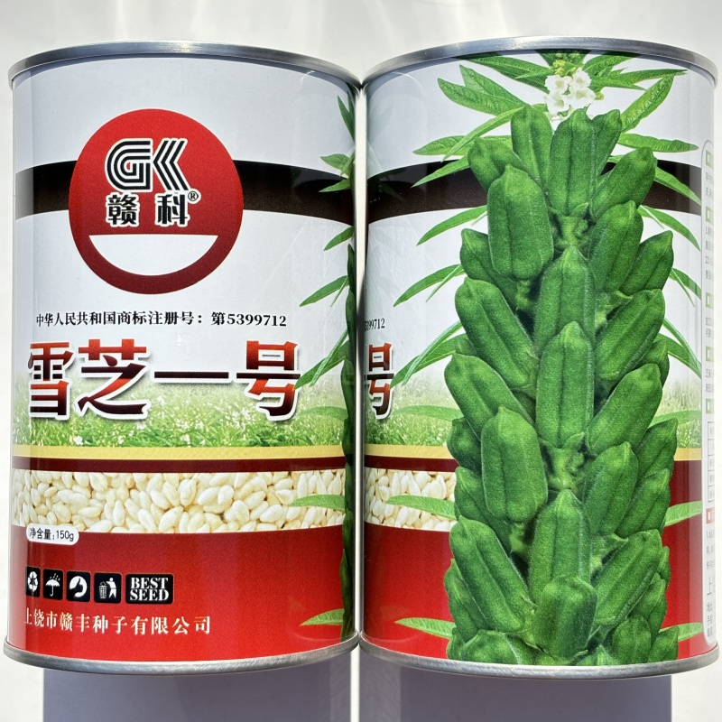 雪芝一号白芝麻种子中早熟高产高油抗倒伏农家春夏白芝麻