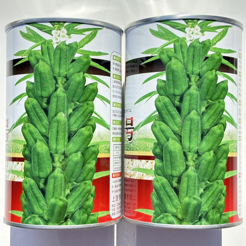 雪芝一号白芝麻种子中早熟高产高油抗倒伏农家春夏白芝麻
