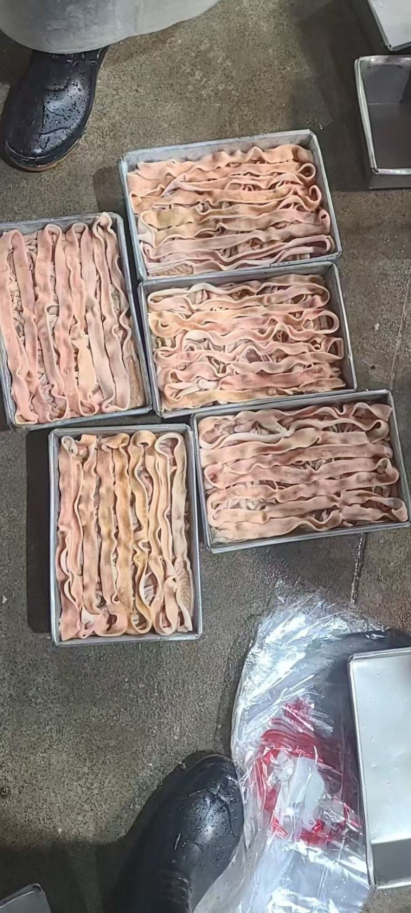 假鹅肠