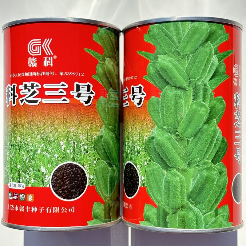科芝三号黑芝麻种子单杆中熟矮杆抗倒高产高油春夏季播种蔬菜
