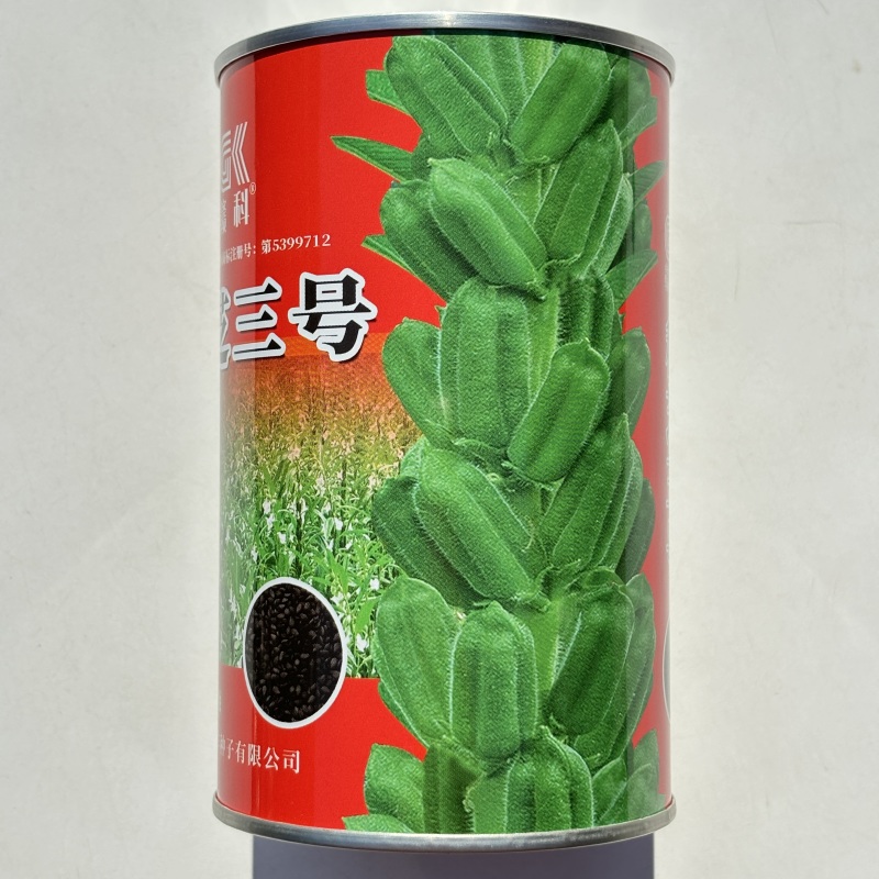 科芝三号黑芝麻种子单杆中熟矮杆抗倒高产高油春夏季播种蔬菜