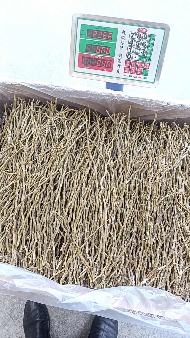 云南铁皮石斛烤条浙江条