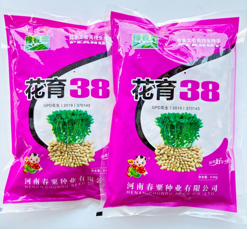 花育38花生种子优质高产耐旱抗病商品性佳