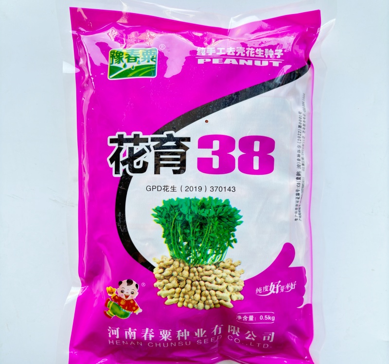 花育38花生种子优质高产耐旱抗病商品性佳