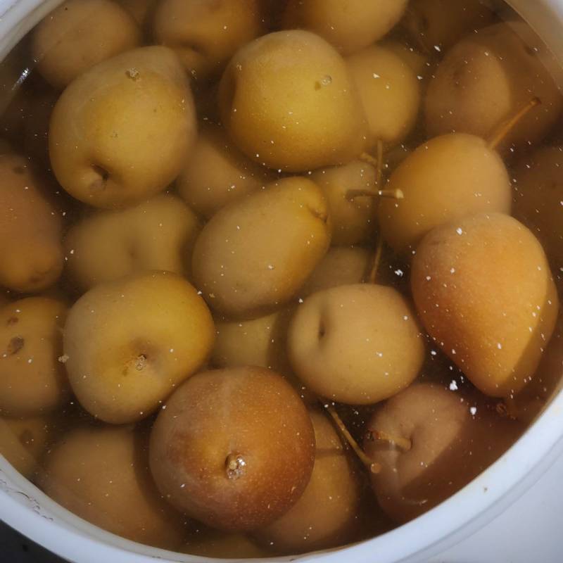 云南沙梨