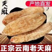 天麻黄天麻批发所有规格齐全需要天麻的老板联系