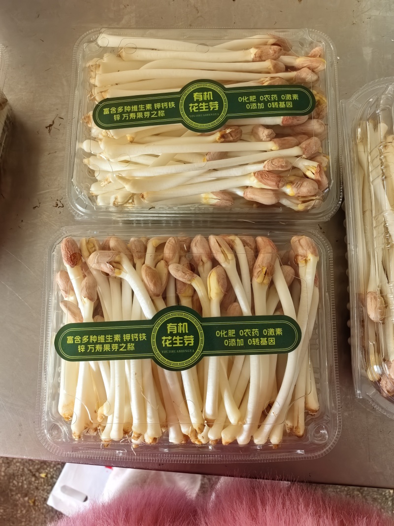 花生芽大量供应，一手货源，价格优惠，欢迎采购