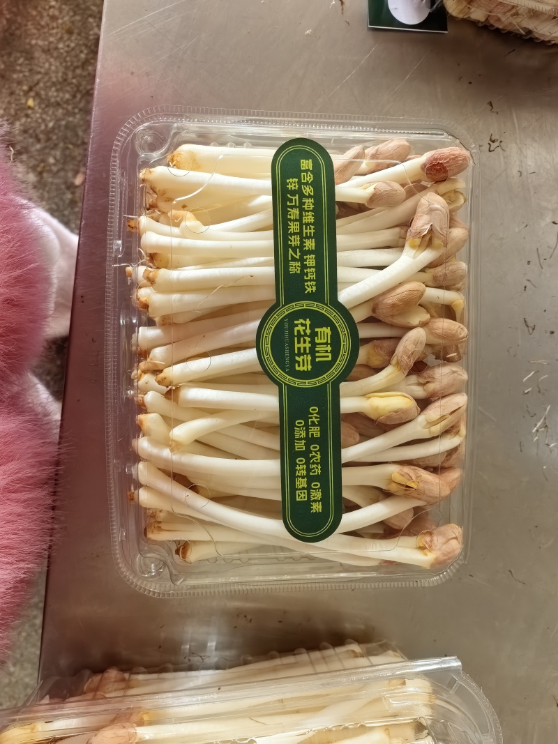 花生芽大量供应，一手货源，价格优惠，欢迎采购