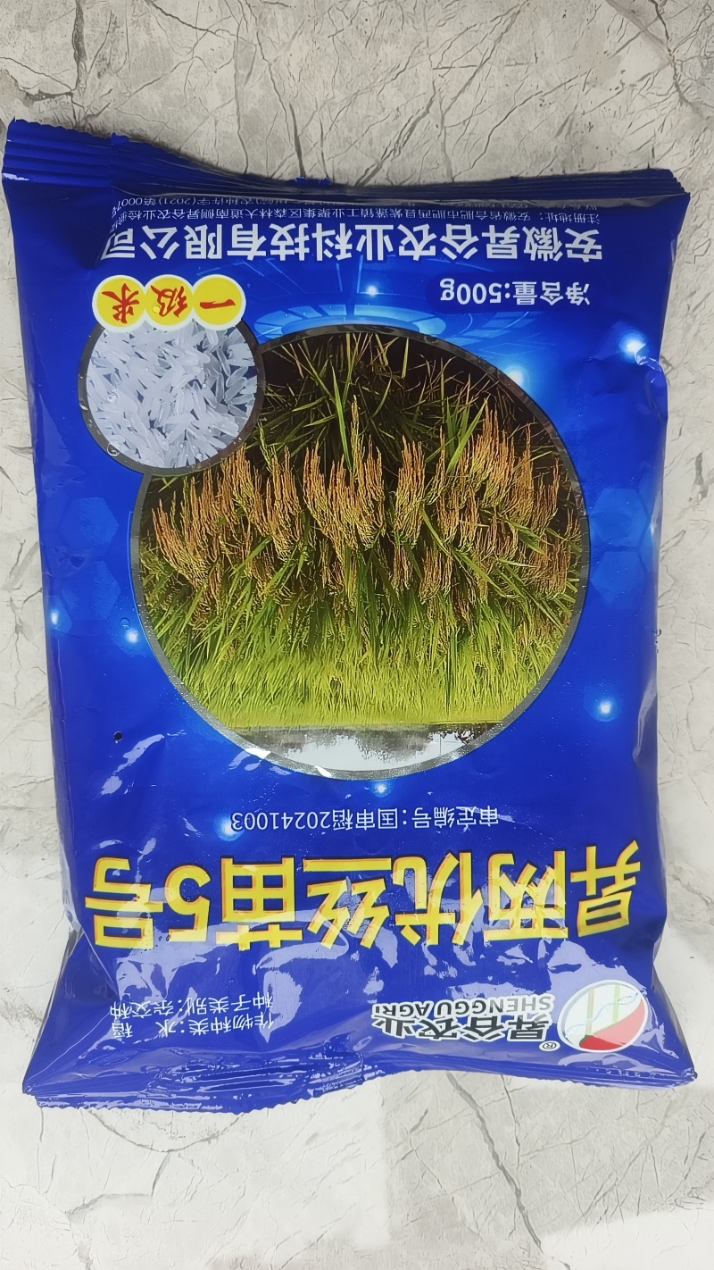 水稻种子抗倒性好抗病强米饭清香国审品种国标一级香米丝苗稻