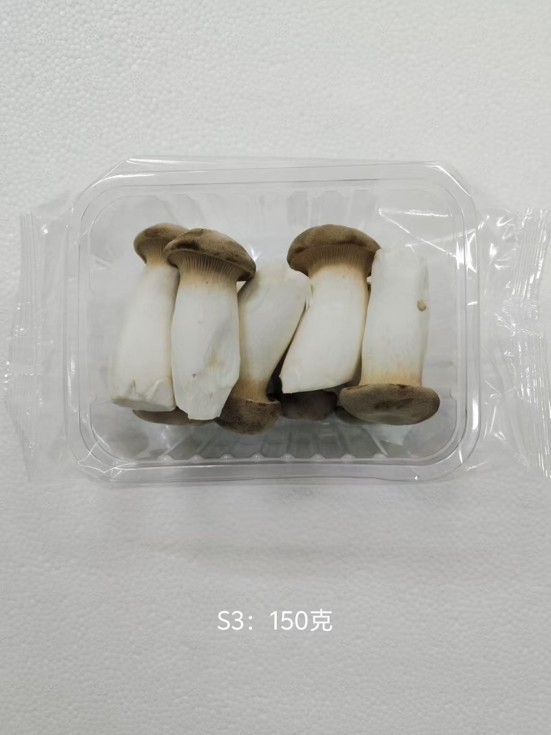 瓶栽杏鲍菇，150g250g拖盒装，可出口