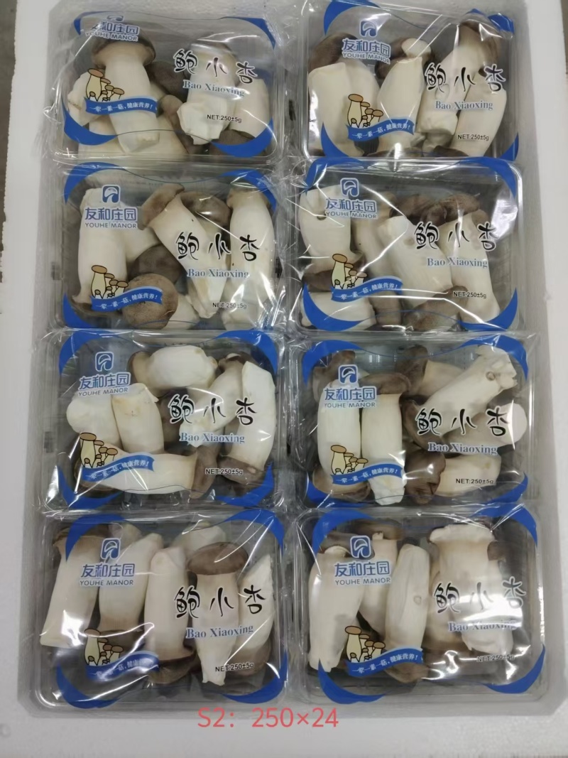 瓶栽杏鲍菇，150g250g拖盒装，可出口