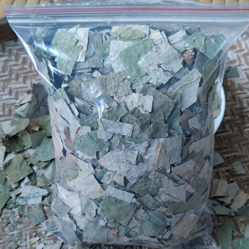 荷叶中药材新鲜荷叶自然晾晒无硫荷叶块