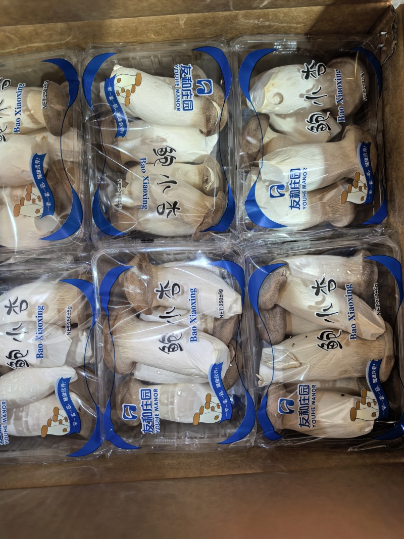 瓶栽杏鲍菇，150g250g拖盒装，可出口
