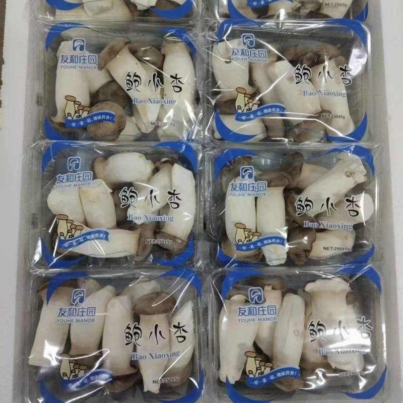 瓶栽杏鲍菇，150g250g拖盒装，可出口