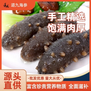 即食海参18-20头免泡发团购电商餐饮商用支持定制