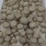 瓶栽杏鲍菇，大包规，口感好，菇型好