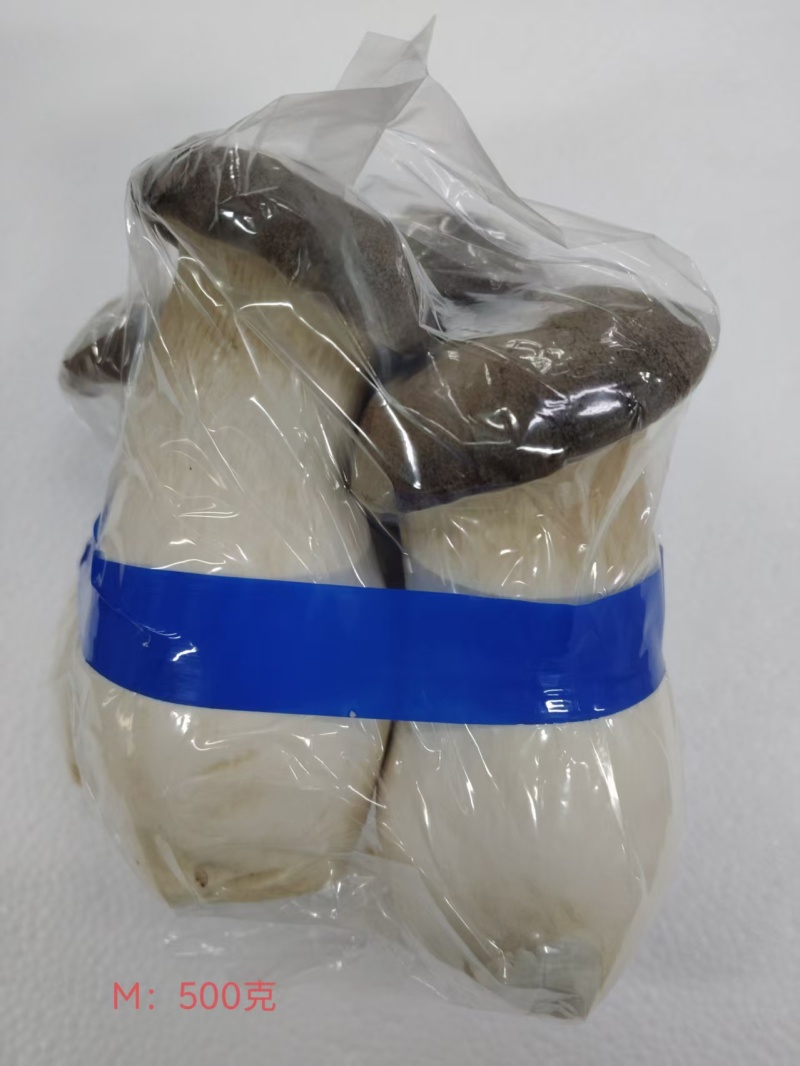 瓶栽杏鲍菇，大包规，口感好，菇型好