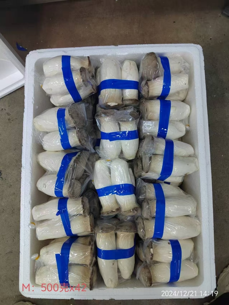 瓶栽杏鲍菇，大包规，口感好，菇型好