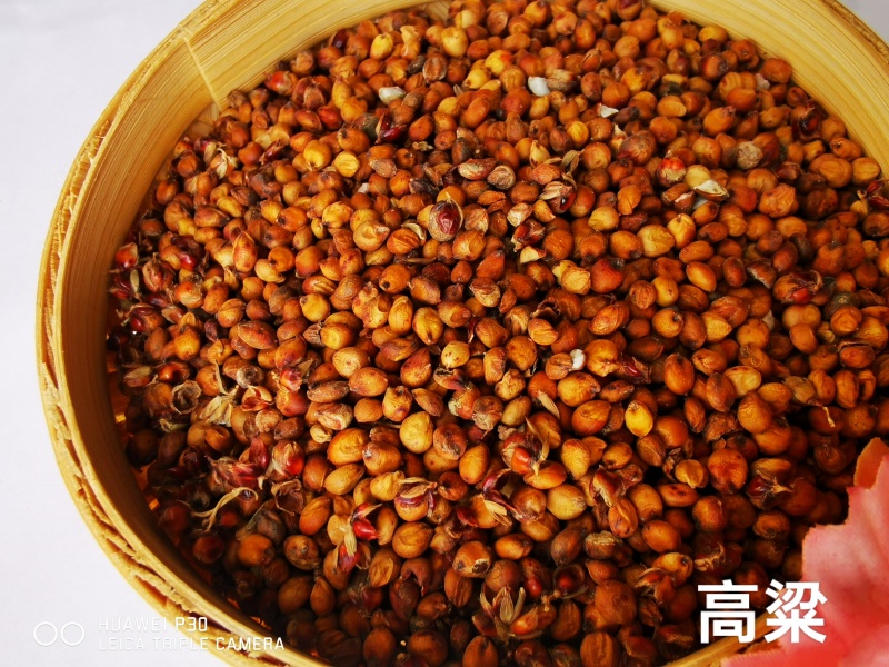 高粱新高粱带皮酿酒，酿醋，喂鸽子，品质保证
