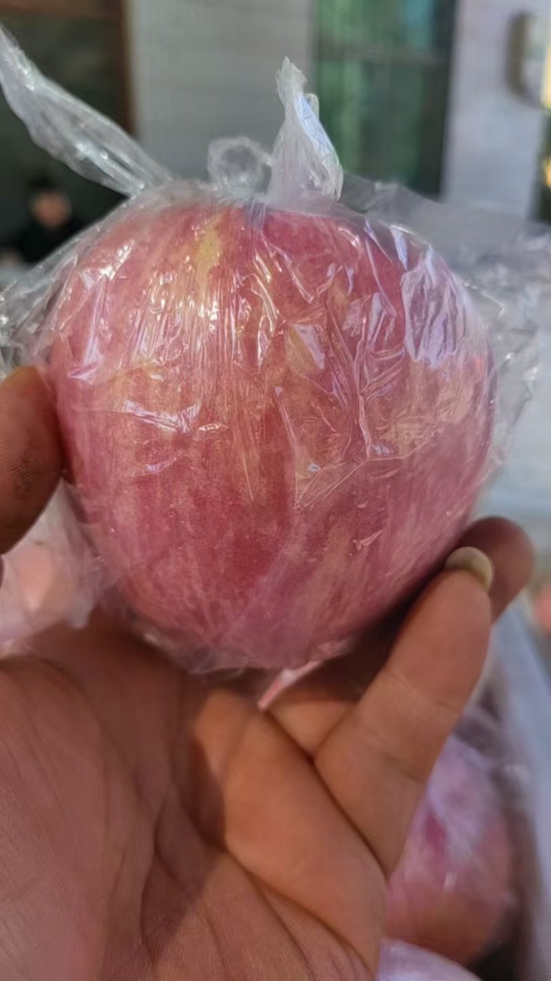 山西红富士苹果纸加膜耐存储易运输全国供应