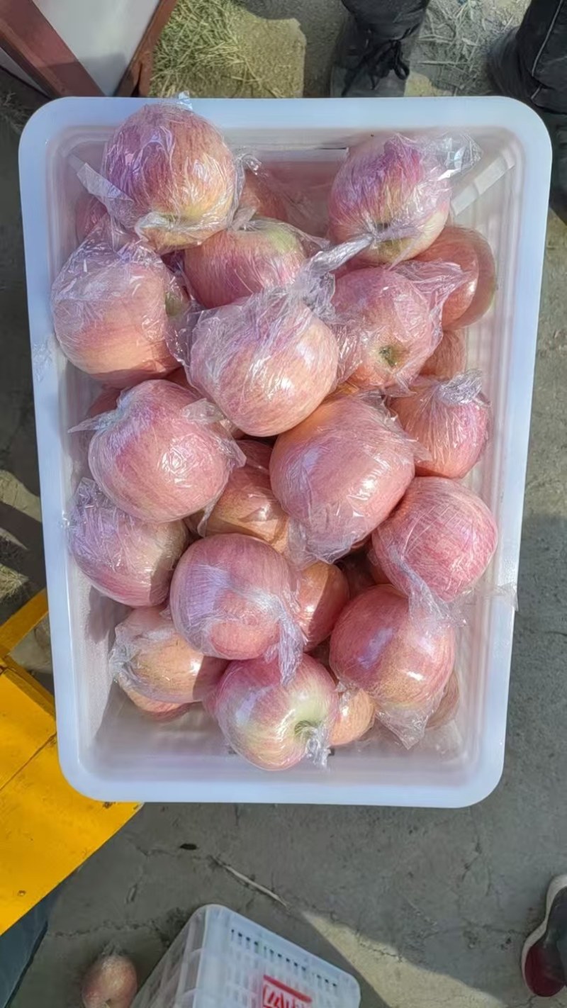 山西红富士苹果纸加膜耐存储易运输全国供应
