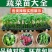 上岸陇椒苗大果螺丝椒苗，实力苗场直发保真，郝有财