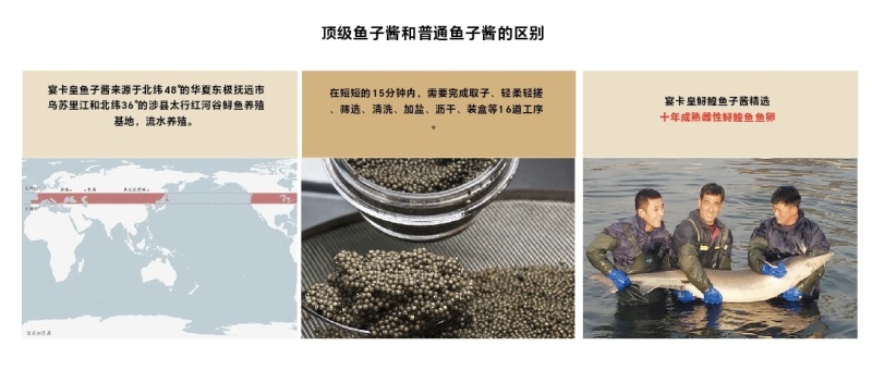 正宗鲟鱼子酱河北省级养殖基地一手货源品质保证