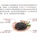 正宗鲟鱼子酱河北省级养殖基地一手货源品质保证