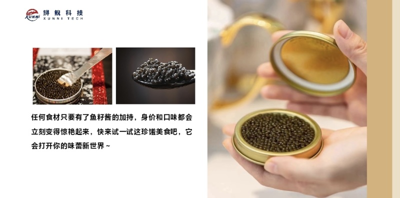 正宗鲟鱼子酱河北省级养殖基地一手货源品质保证