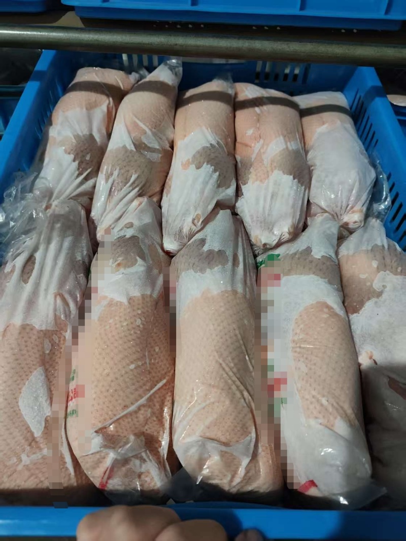 小白条鸭