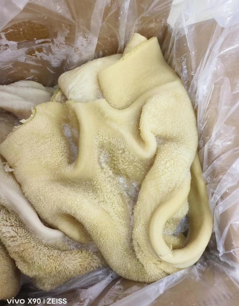 熟牛肚